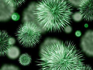 Allergie respiratorie, forma più diffusa in Europa e nel mondo, che fare?