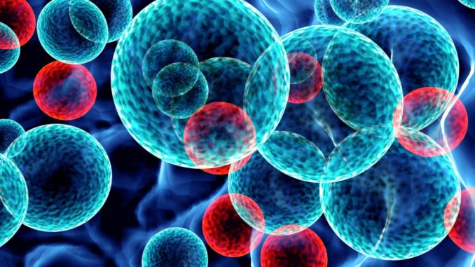 Terapia CAR-T contro leucemia linfoblastica acuta arriva anche in Europa