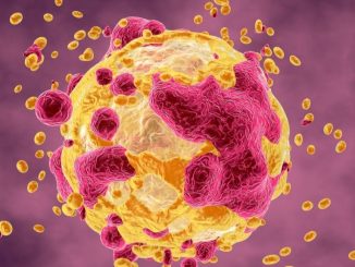 Alla scoperta dei “buchi neri” del genoma, potrebbe rivoluzionare la lotta al cancro
