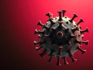  Virus alleati lotta contro cancro: scoperta dell'Università di Bologna