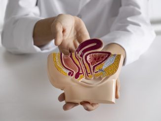 Il consumo quotidiano di alcol aumenta il rischio di cancro al colon