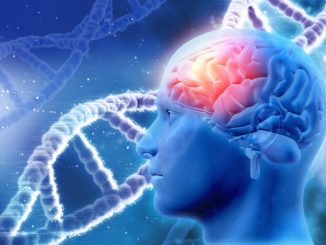 Terapia Car-T: progresso nella cura del neuroblastoma