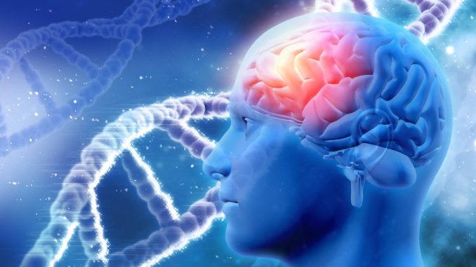 Terapia Car-T: progresso nella cura del neuroblastoma