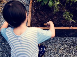 Autismo, riconoscere i segnali precoci nei bambini