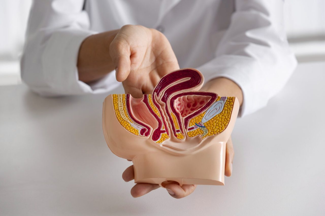 CAR-T contro metastasi da colon: svolta preclinica