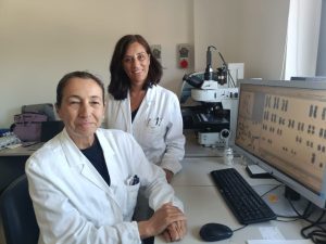 Laboratorio diagnostico selezionato per la prima Preceptorship AML