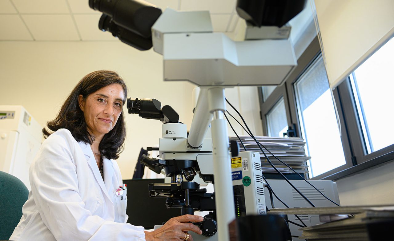 Terapie innovative in ematologia a Perugia il 20 giugno