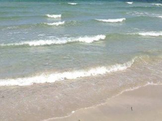 Allarme Vibrio: cresce il rischio con il mare più caldo