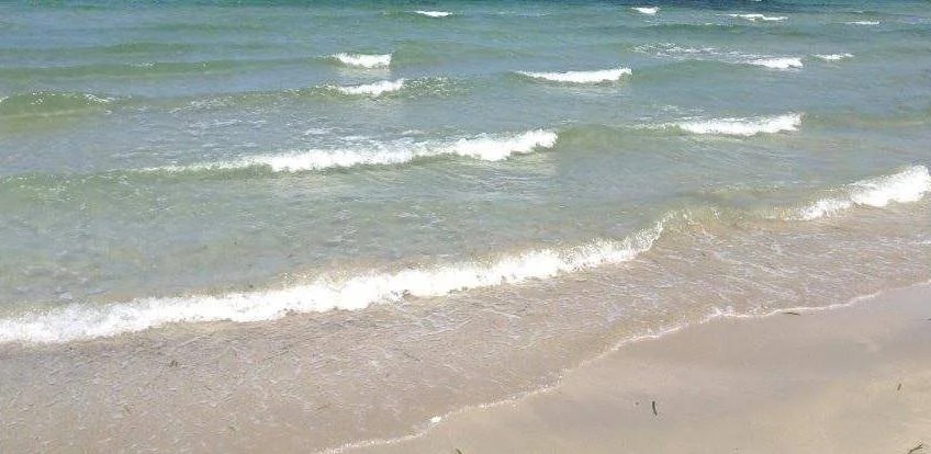 Allarme Vibrio: cresce il rischio con il mare più caldo