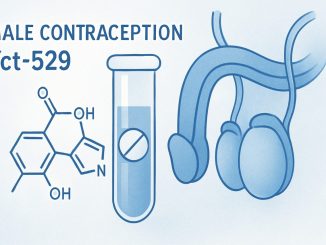 Yct-529, svolta nella pillola maschile non ormonale