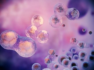 Una rivoluzionaria tecnica algoritmica permette oggi di identificare minuscole comunità cellulari che tradizionalmente sfuggono alle analisi convenzionali. Il sistema è in grado di distinguere i segnali provenienti da cellule tumorali in stato di quiescenza e da elementi staminali neoplastici, precedentemente mascherati dal disturbo computazionale di fondo. La ricerca italiana, condotta presso strutture di eccellenza nazionale, ha portato allo sviluppo di un approccio statistico sofisticato capace di superare le limitazioni delle metodologie attuali. Il lavoro scientifico, pubblicato su una prestigiosa rivista internazionale del settore, rappresenta un significativo passo avanti nella comprensione dei meccanismi tumorali nascosti. Alessandro Vici, giovane scienziato del team di ricerca oncologica, spiega come la nuova metodologia riesca a filtrare efficacemente il disturbo informativo che caratterizza i grandi volumi di dati biologici. "La capacità di isolare segnali apparentemente insignificanti ma biologicamente rilevanti costituisce il vero valore aggiunto di questo approccio", afferma il ricercatore. Il metodo si è dimostrato particolarmente efficace nell'individuazione di cellule dormienti, quelle entità biologiche che possono rimanere inattive per lunghi periodi dopo i trattamenti terapeutici. Queste popolazioni cellulari rappresentano una delle principali cause delle ricadute tumorali a distanza di tempo, rendendo cruciale la loro identificazione precoce. Ann Zeuner, coordinatrice del progetto scientifico, sottolinea l'importanza strategica della scoperta: "La possibilità di caratterizzare dettagliatamente queste microscopiche comunità cellulari apre scenari completamente nuovi per la prevenzione delle recidive neoplastiche". La ricercatrice evidenzia come le cellule quiescenti possano rimanere silenti per decenni prima di riattivarsi. L'algoritmo sviluppato ha superato con successo diverse fasi di validazione su campioni differenti, dimostrando la sua versatilità applicativa. Durante i test, il sistema ha identificato anche elementi del sistema immunitario coinvolti nella risposta antitumorale, ampliando ulteriormente le potenzialità diagnostiche. Alessandro Giuliani, esperto in analisi computazionali, evidenzia la portata generale dell'innovazione: "Oltre alle applicazioni oncologiche immediate, questa tecnologia può essere utilizzata per riconoscere pattern informativi deboli in qualsiasi contesto caratterizzato da elevata complessità dimensionale". Il progetto ha ricevuto sostegno finanziario da importanti organismi nazionali ed europei, confermando l'interesse strategico verso questo tipo di ricerca. I risultati ottenuti dall'Istituto Superiore di Sanità aprono nuove prospettive per lo sviluppo di terapie personalizzate e strategie preventive più efficaci.