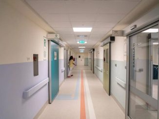 Fungo killer negli ospedali europei, Italia tra i più colpiti