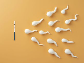Due proteine chiave svelano il segreto della fertilità maschile