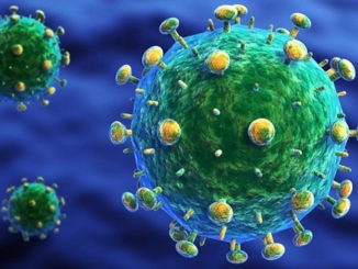 Hiv, il virus dell'Aids, ha una sua vita segreta gli scienziati l'hanno scoperta