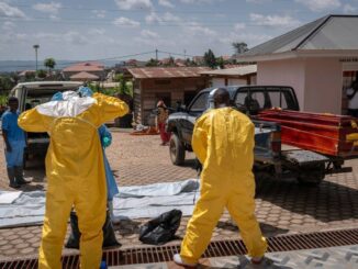 Virus Bundibugyo Ebola scoperto in Uganda nel 2007